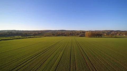 Aerial vertical reveal of fields, British countryside green grass and blue sky Video stock 94078202