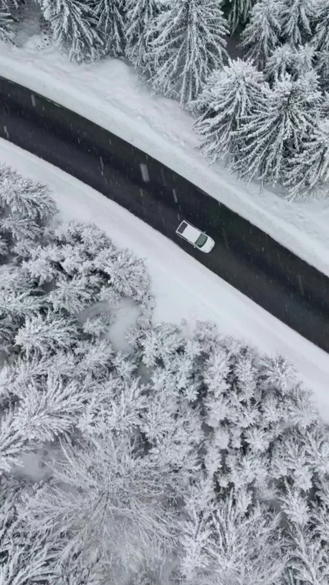 Aerial Vertical Screen top down shot of white car drives along the road in 스톡 동영상 273208734