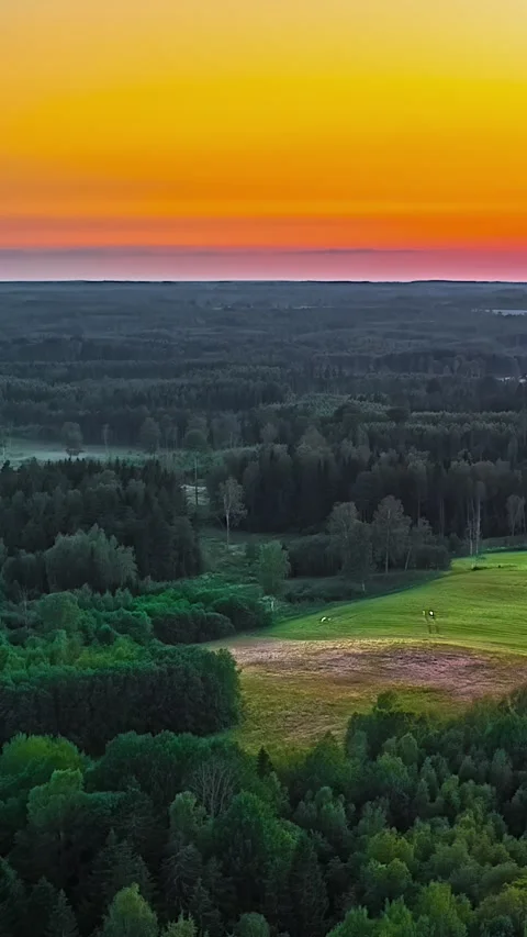 Aerial Vertical Timelapse of Vivid Post-Sunset Sky Above Endless Green Forest Video stock 335194288