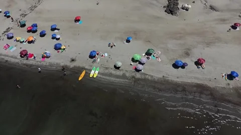 Aerial vertical tiny planet panoramic shot transitioning from a beach with .. Vídeos de archivo 339252138