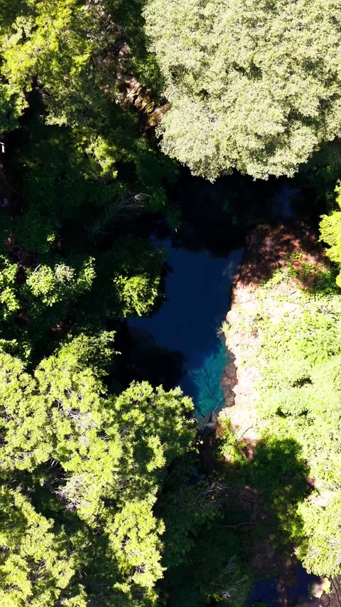 Aerial vertical top down shot ascending away from a deep blue natural water.. Video stock 339252200