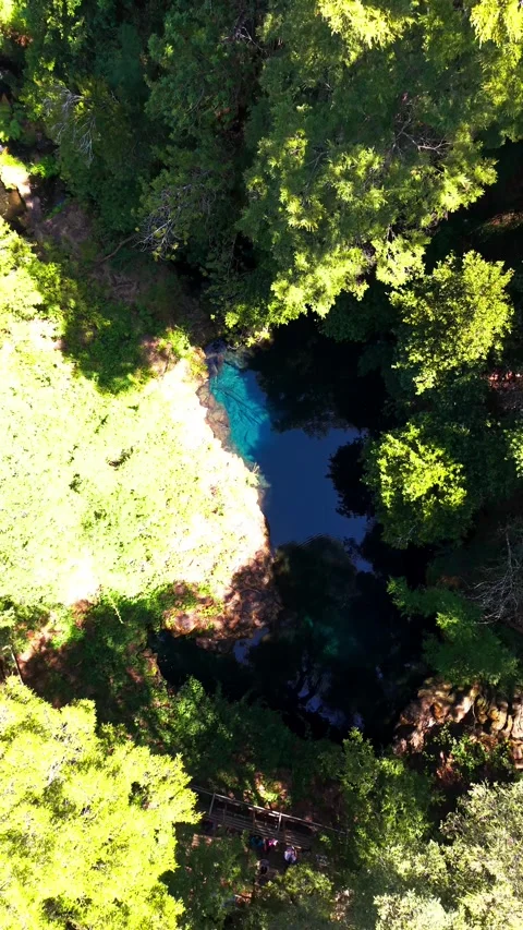 Aerial vertical top down tracking shot moving over a deep blue clear water .. Video stock 339252204