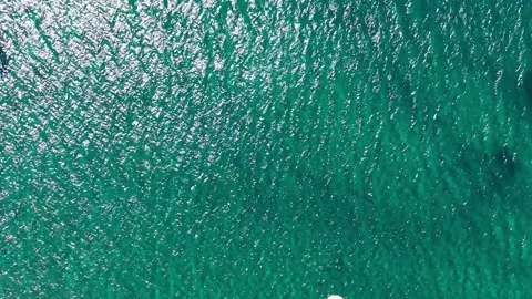 Aerial Vertical Tracking Top Down Shot of an Inflatable Water Park and Padd.. Vídeos de archivo 339252256