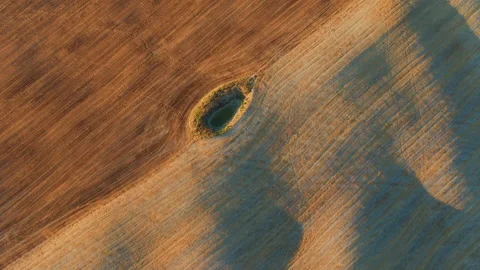 Aerial, vertical view of a diagonally patterned field with a waterhole. Stock Footage 138420903