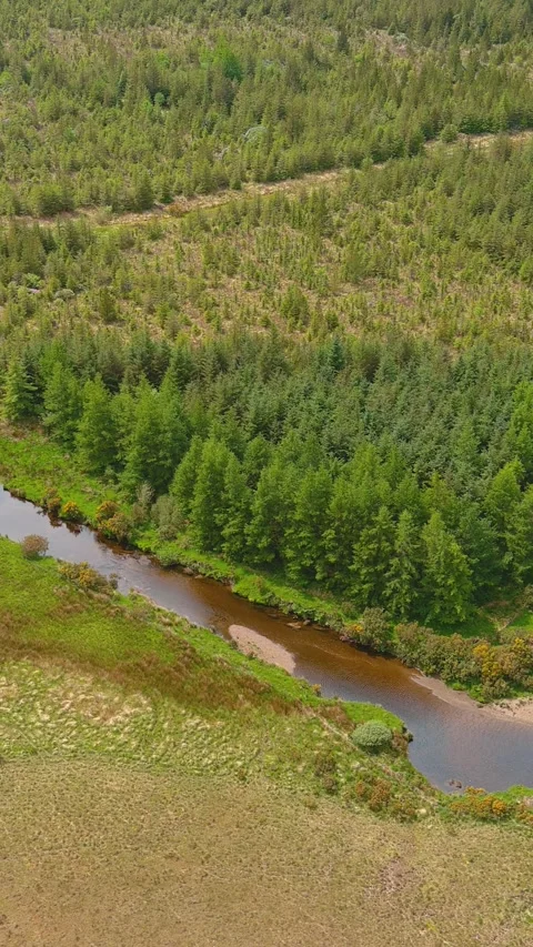 Aerial vertical view of Joyces river. Connemara region. County Galway, Ireland. 库存影片 312258744