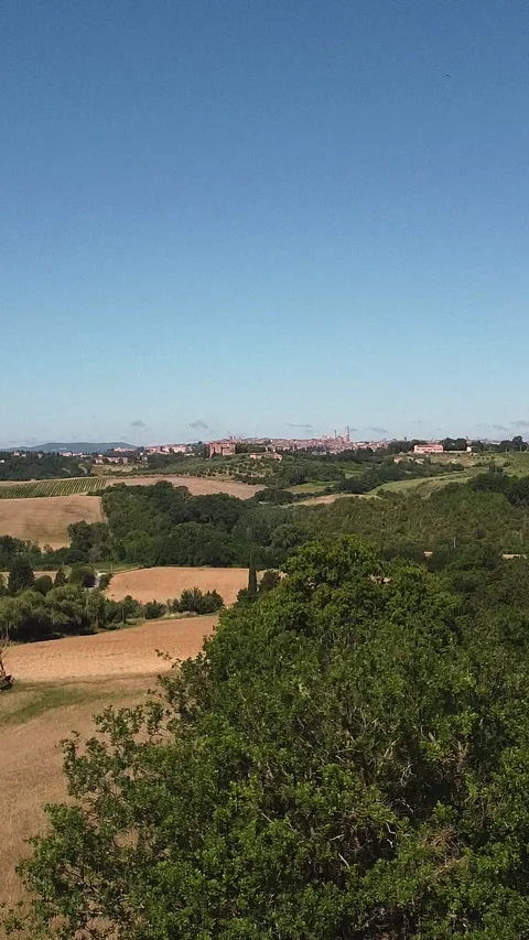 Aerial vertical view made with drone of Siena. Stock Footage 303417661