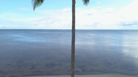 Aerial Vertical view Palm Tree in Polynesia Lagoon and Pacific Sea Stock Footage 92066315