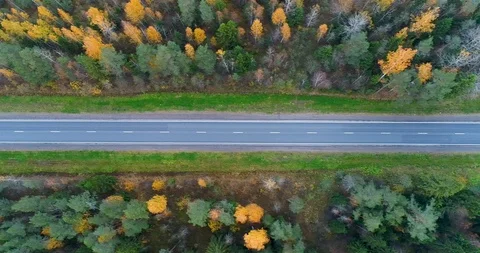 Aerial vertical view of the road in the fall. Red car driving on the highway 動画素材 96467469