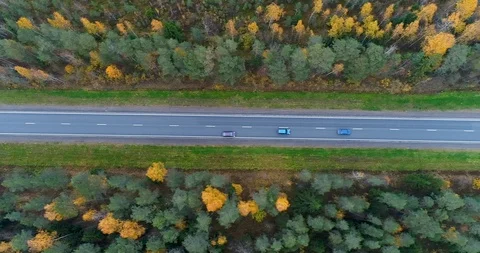 Aerial vertical view of the road in the fall. highway traffic, road traffic 動画素材 96467518