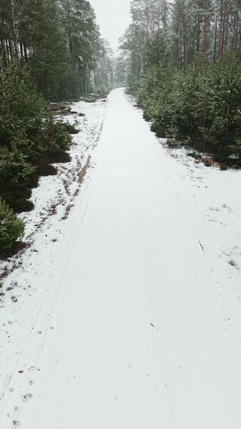 Aerial vertical view of snow covered forest road in Barycz Valley, Poland Stock Footage 329139920