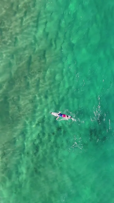Aerial Vertical View of Surfer Paddling and Falling in Turquoise Ocean Video stock 329466039