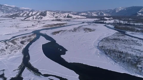 Aerial vertical view of taiga forest in Altai Mountains Stock Footage 74059190