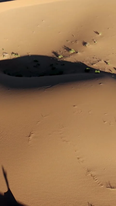Aerial vertical view of Tengger Desert dunes with tent shadow Stock Footage 345367298
