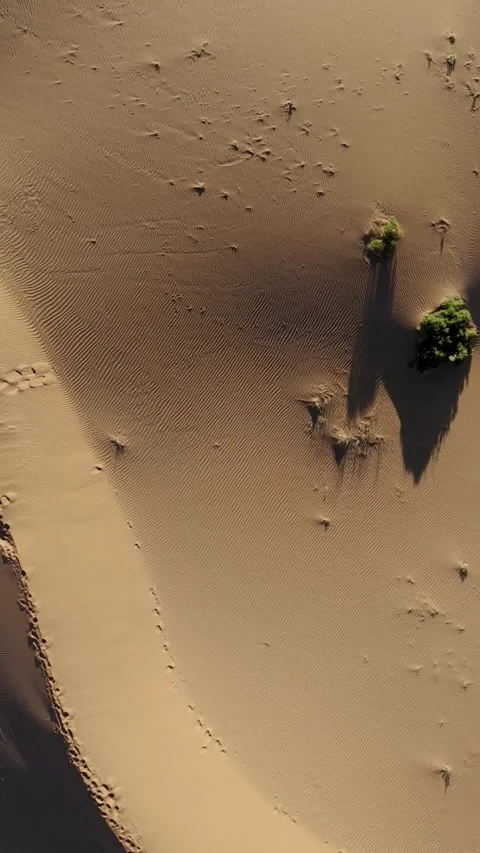 Aerial vertical view of Tengger Desert dunes with footprints Stock Footage 345367421