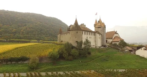 Aerial Vew Castle in the Wineyard  West Switzerland Stock Footage