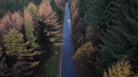 Aerial video above flying over the forest Peak District Video stock 242536206