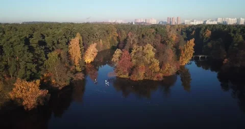Aerial video of autumn scenery of forest lake Stock Footage