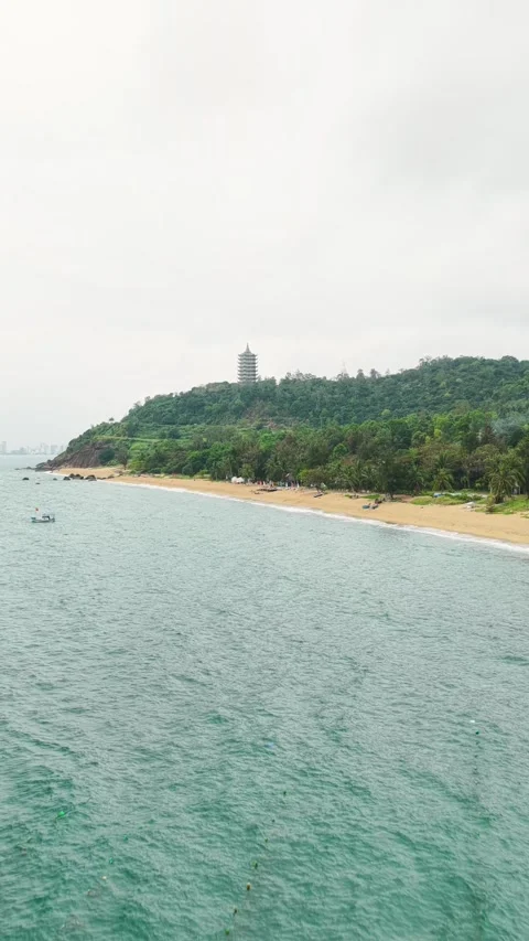 Aerial Video Beachfront Camping with Ocean Waves and Trees 库存影片 341550185