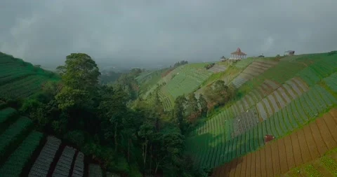 Aerial video of beautiful pattern of terraced vegetable plantation on Stock Footage 218125967