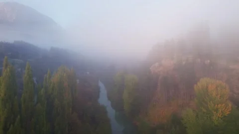 Aerial video of a bridge and trees Video stock 320175463