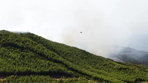 Aerial Video Burning Forest with Visible Fire Front and Smoke Stock Footage 341137065