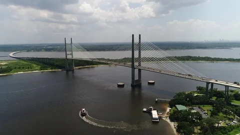 Aerial Video of a Cable Bridge #11 Stock Footage 77811646
