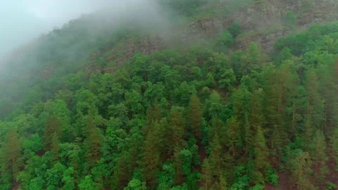 Aerial video of clouds, mountains, forest and mountain river Stock Footage 160593112