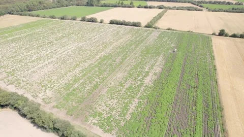 Aerial video with drone of crop fields and a sulphating machine, agricultur.. Stock Footage 288572600