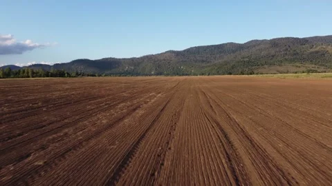 Aerial video of drone flight over agricultural fields in Croatia, Europe. Stock Footage 284626299