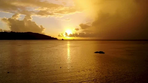 Aerial video from the drone. Stock Footage 102024015