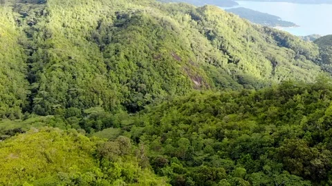 Aerial video from the drone. Stock Footage 102027357