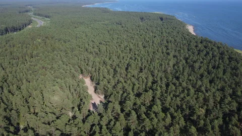 Aerial video from a drone over the coast Stock Footage