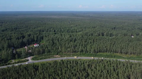 Aerial video from a drone over the forest Stockbeeldmateriaal 162957789
