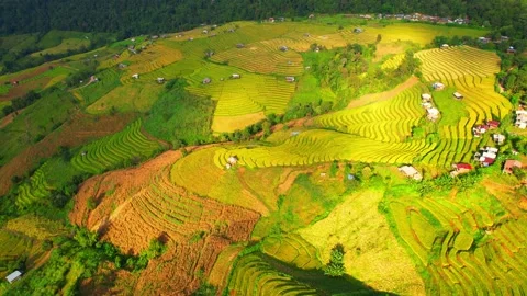 Aerial video of drones flying over rice terraces Stock Footage 220463334