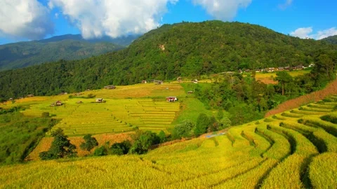Aerial video of drones flying over rice terraces Stock Footage 220464684