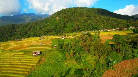 Aerial video of drones flying over rice terraces Stock Footage 220465573
