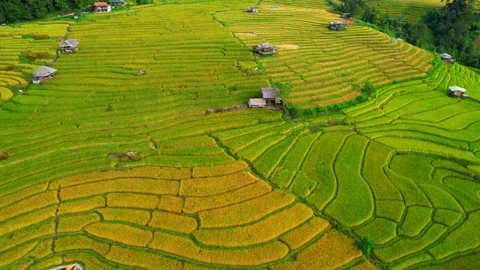 Aerial video of drones flying over rice terraces Stock Footage 220465718