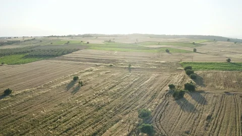 Aerial video of fields at sunset. Stock Footage 132607088
