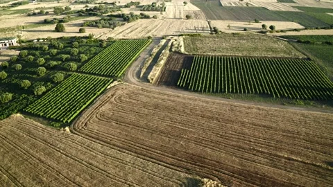 Aerial video of fields at sunset. Stock Footage 132607705