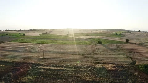 Aerial video of fields at sunset. Stock Footage 132608760