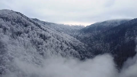 Aerial video footage of a forest partially covered with snow and clouds Stock Footage 231284553