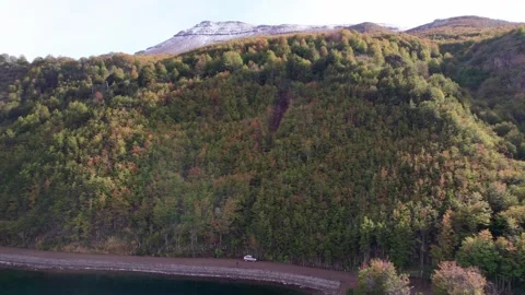 Aerial video of a forest-covered mountain Video stock 320175440