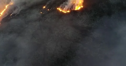 Aerial video of a forest fire at nightfall 스톡 동영상 246813600