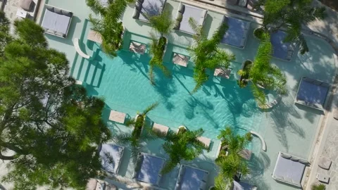 Aerial Video of Models Sunbathing in Authentic Palm Club Stock Footage 343880473