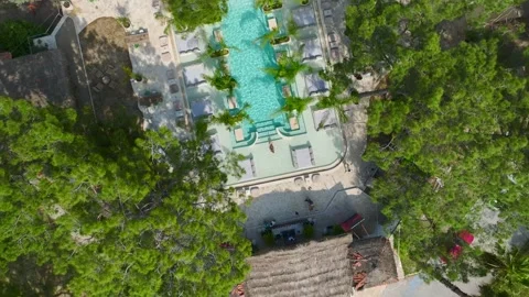 Aerial Video of Models Sunbathing at Palm Club Near Sea Stock Footage 343882084