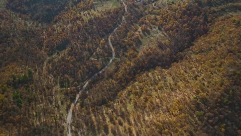 Aerial Video of Mountain Forest Changing Colors in Fall Stock Footage 337640779