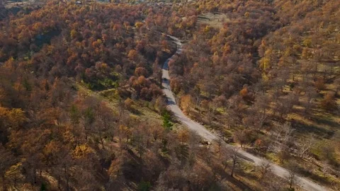 Aerial Video of Mountain Forest Covered in Fall Colors Stock Footage 337640612