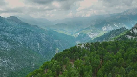 Aerial Video of Mountain Pine Trees Over Rocky Ground Stock Footage 334114887