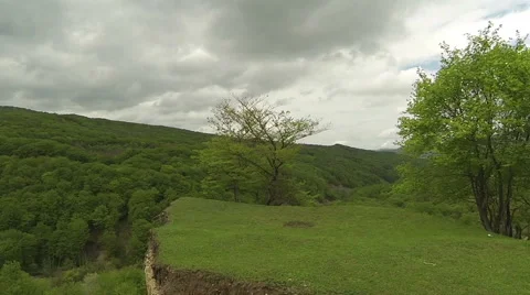 Aerial video. The old tree on the edge of the cliff. Stock Footage 48900156