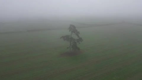 Aerial video over the green fields with heavy fog in Newport UK Stock Footage 280925153